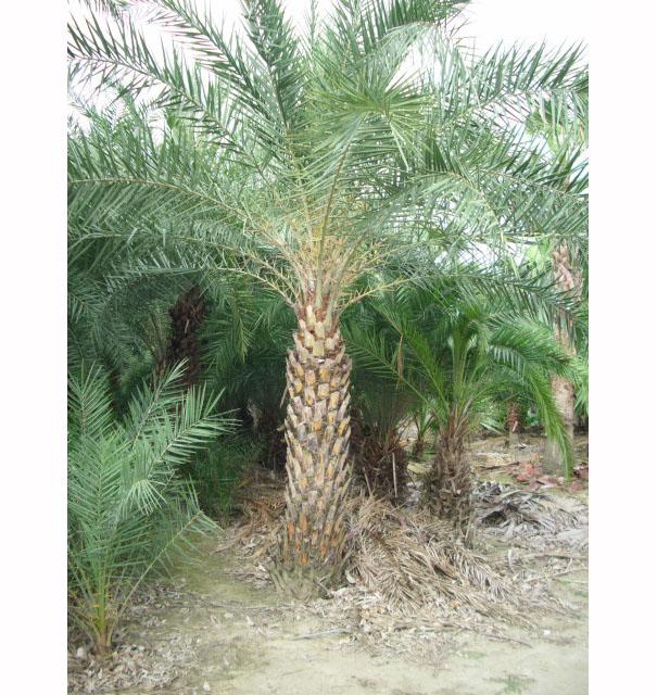 �y����